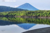 樹海モーニングツアー