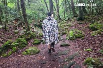樹海モーニングツアー