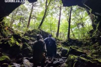 樹海モーニングツアー