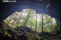 樹海モーニングツアー